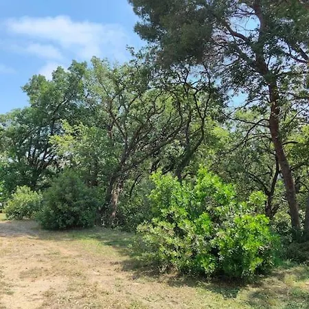 2 Km De La Διαμέρισμα *